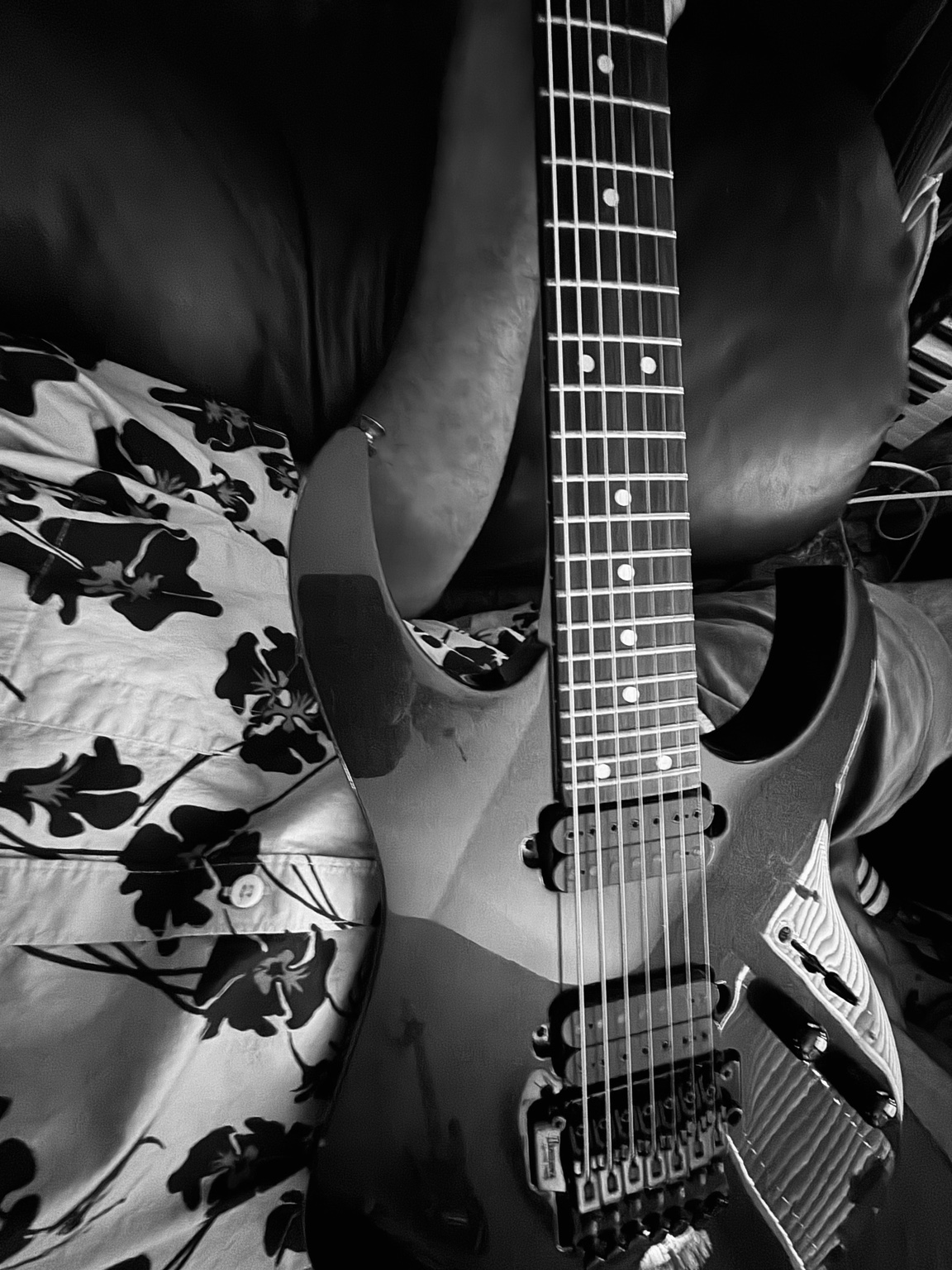 Guitar detail in black and white